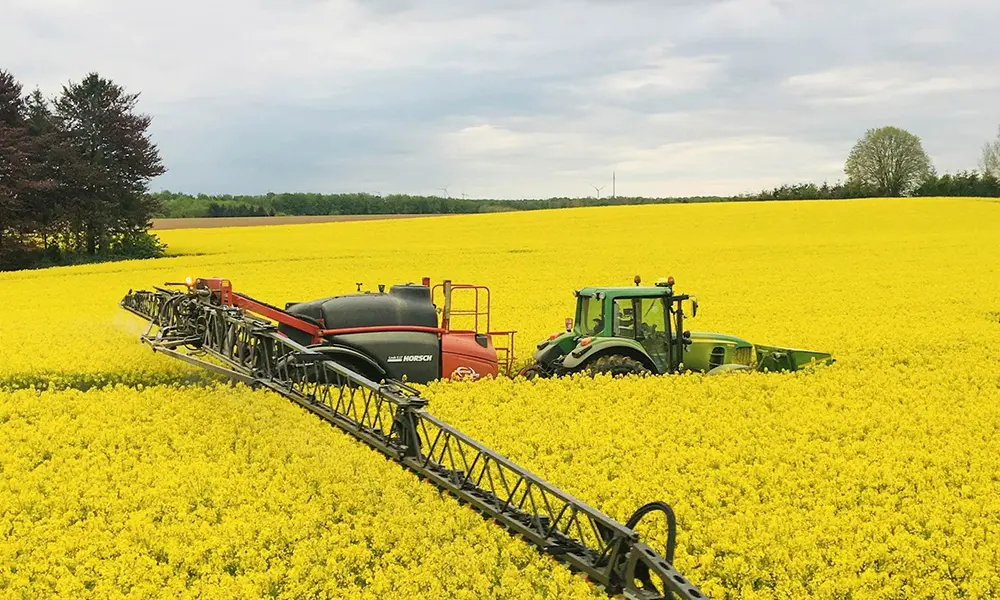croplands