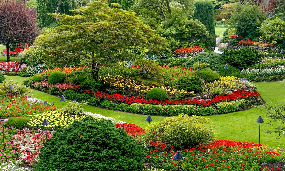 landscaping